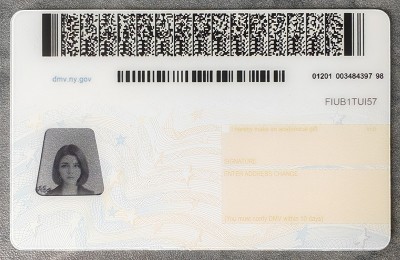New York (NY) Fake Dirvers Licence